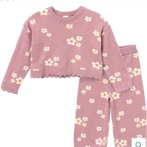 Gerber Modern Moments 4T Lilac sweater and pant set. Never worn!